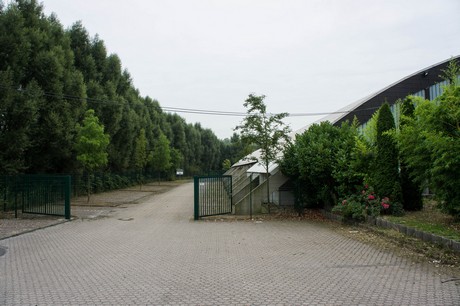 weiden