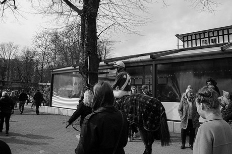 Autogrammstunde