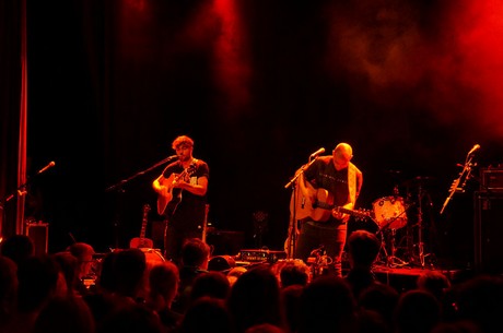 cologne