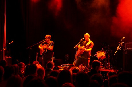 cologne