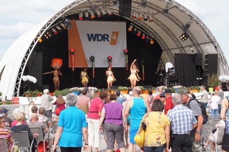 wdr4