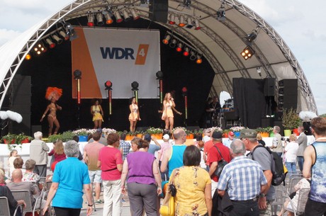 wdr4