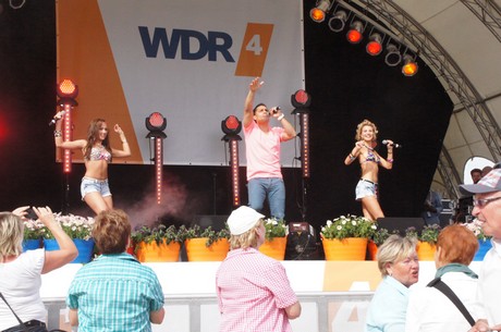 wdr4
