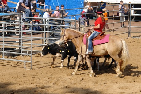 rodeo