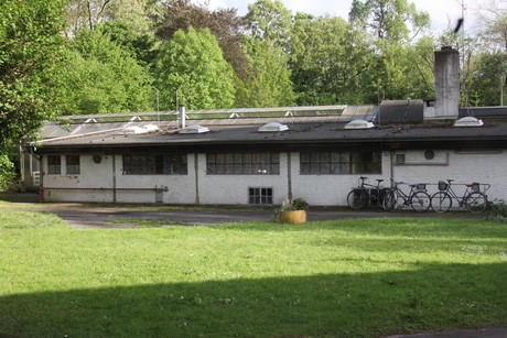 sommerblut