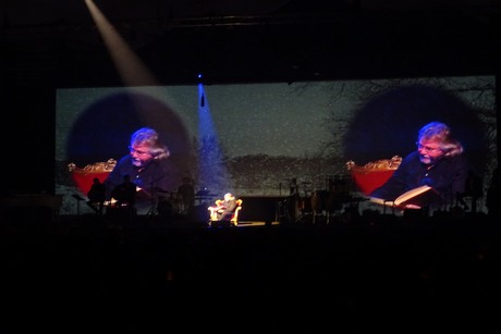 cologne