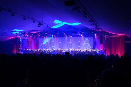 cologne