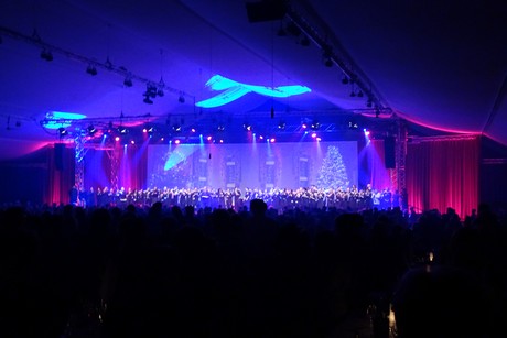 cologne