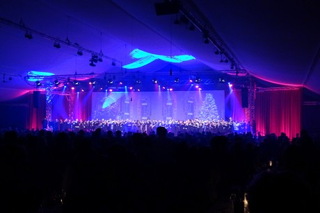 cologne