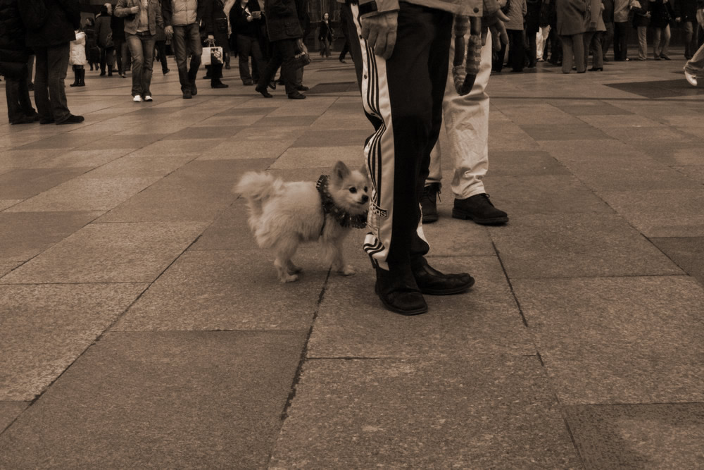 besucher