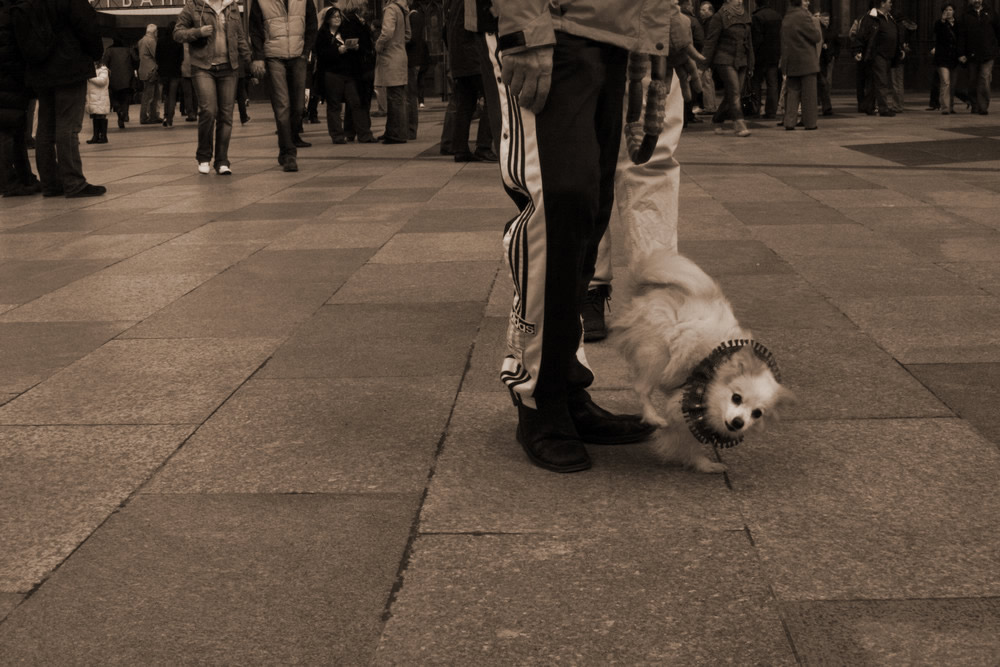 besucher