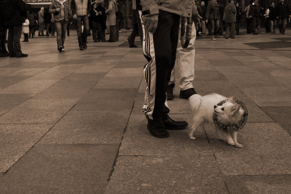 besucher