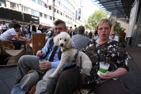 besucher
