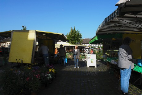 lechenich-markt