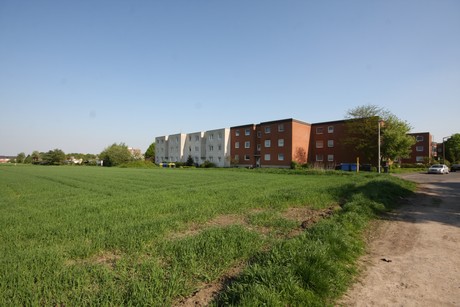 koenigsdorf