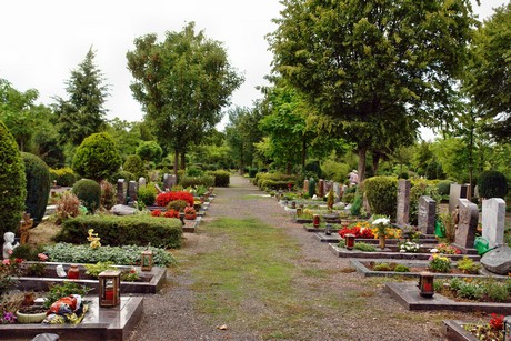 friedhof