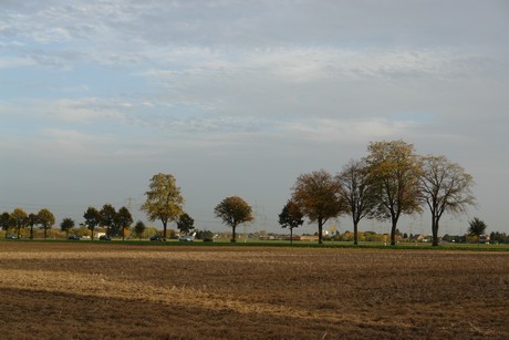 sielsdorf